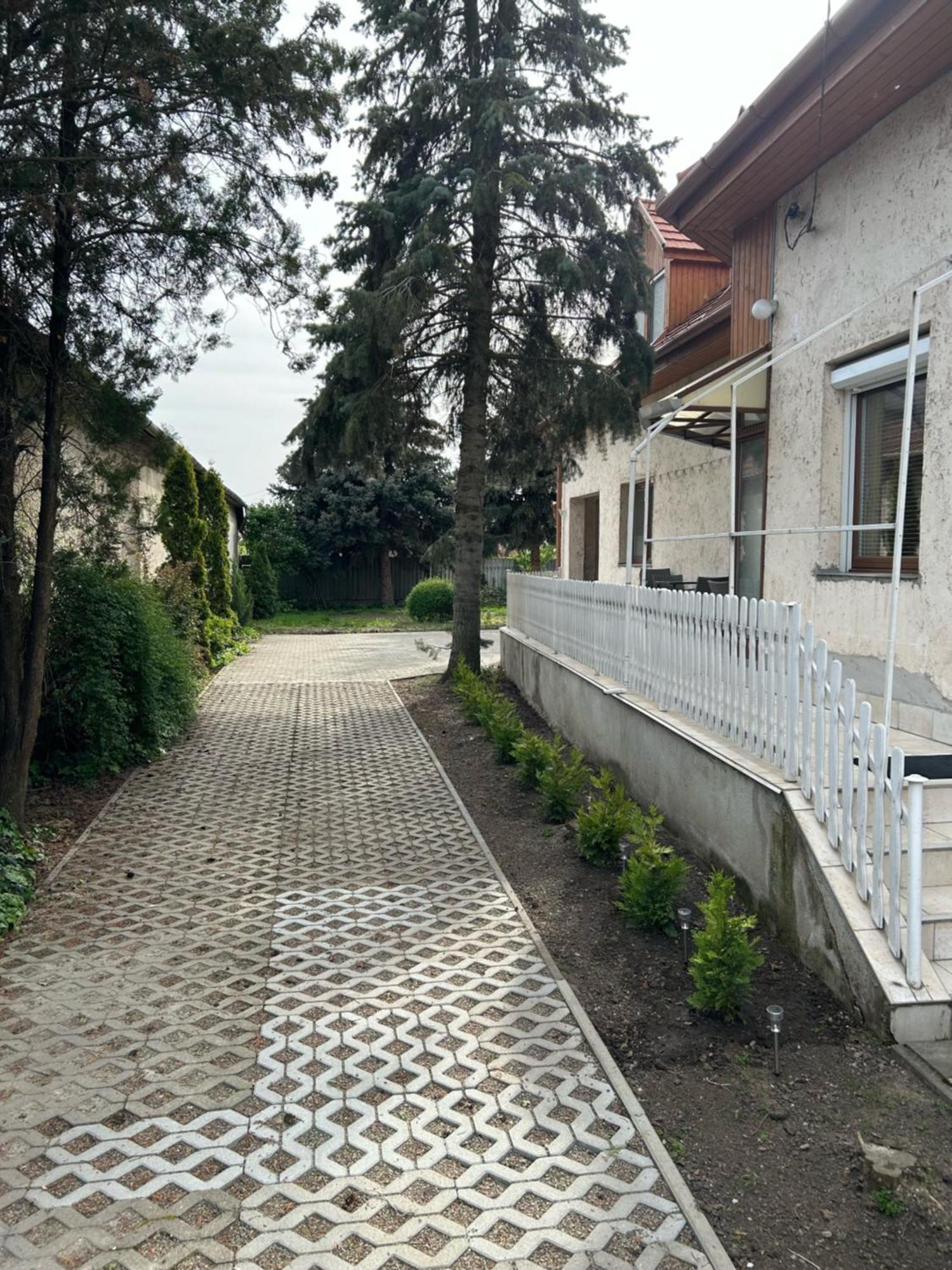 מלון Mezőkövesd Galeria Vendeghaz מראה חיצוני תמונה